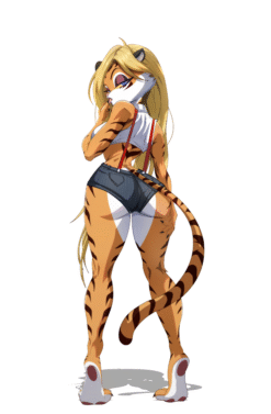 The Cat Pack Blanco Back Sweet Cover